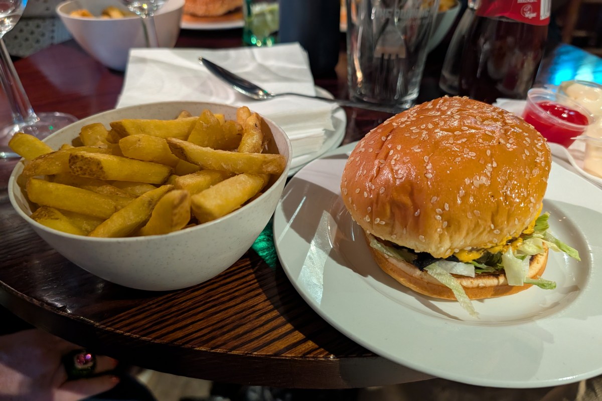 Bacon cheese burger and fries
